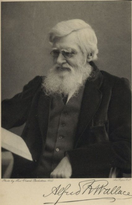 Wallace, A. R. 1905. My life: A record of events and opinions. London:  Chapman and Hall. Volume 2.