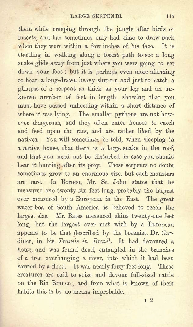 Wallace A R 1878 Tropical Nature And Other Essays London