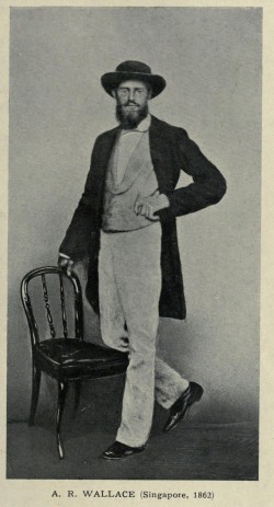 Wallace in Singapore, 1862.